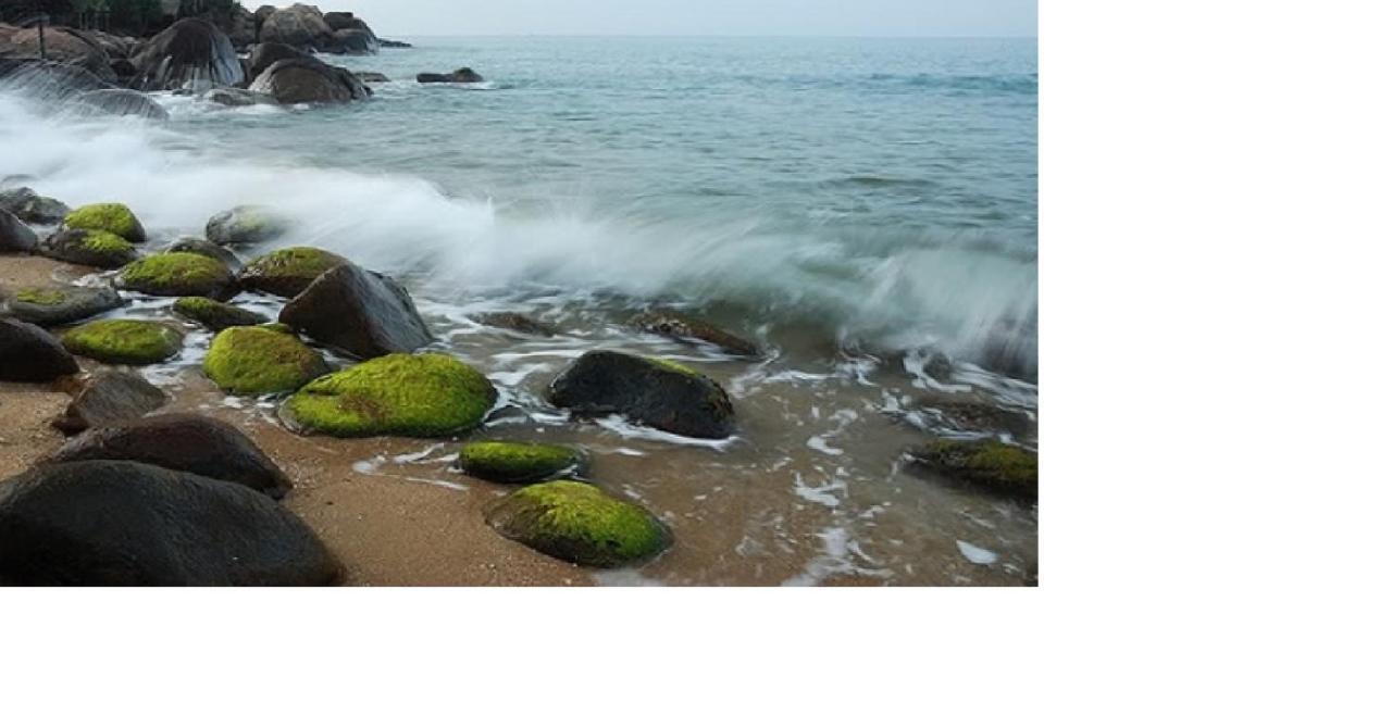 Da Nang Minh Hai エクステリア 写真