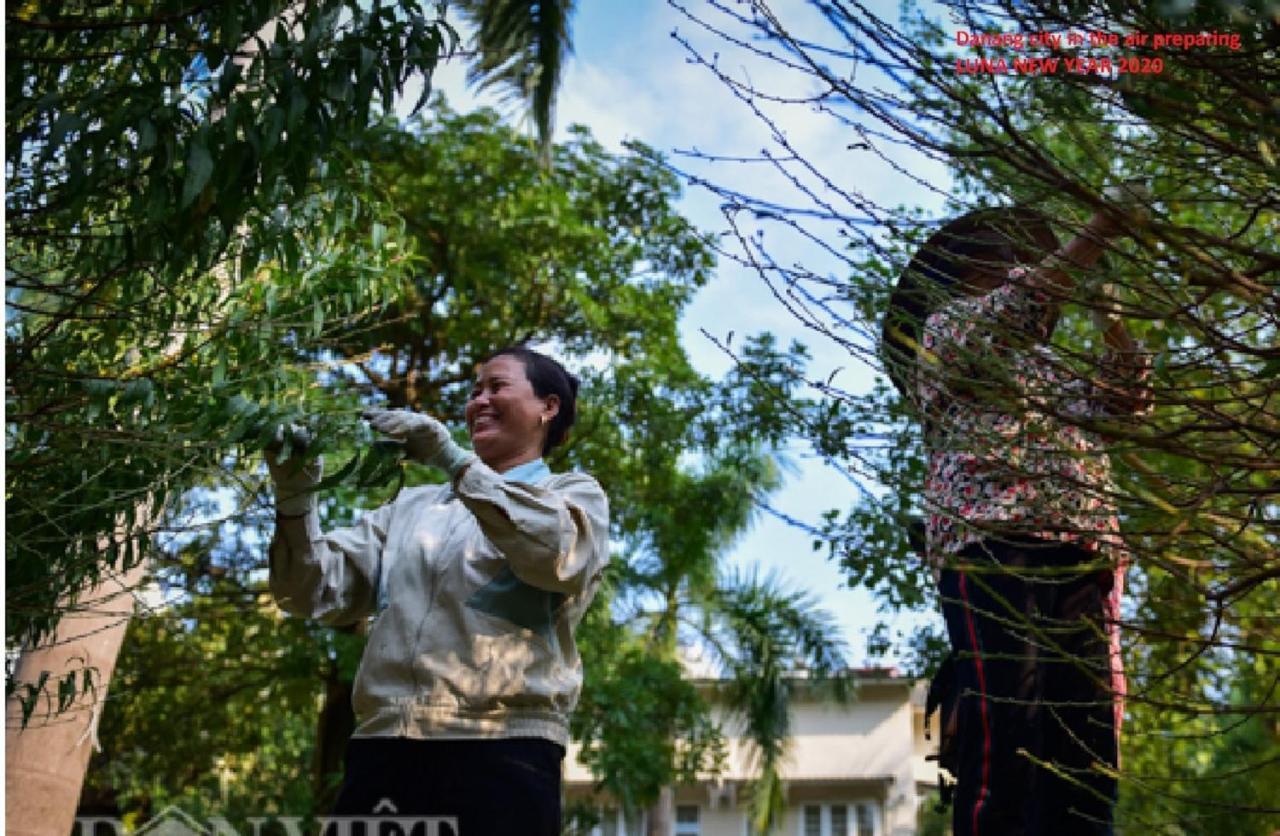 Da Nang Minh Hai エクステリア 写真